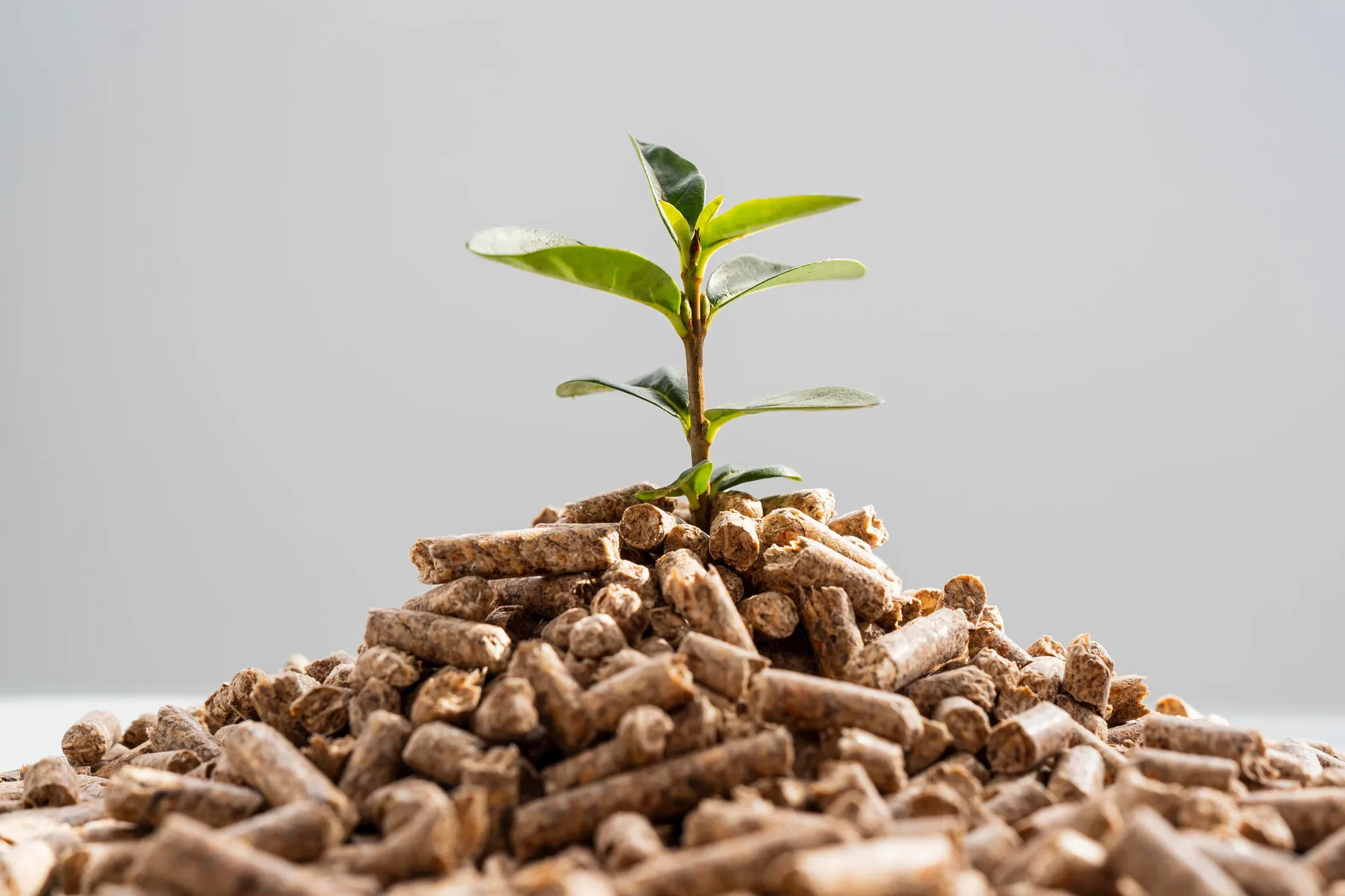Foto editorial de Sustrato Universal Grow Mix 20 L
